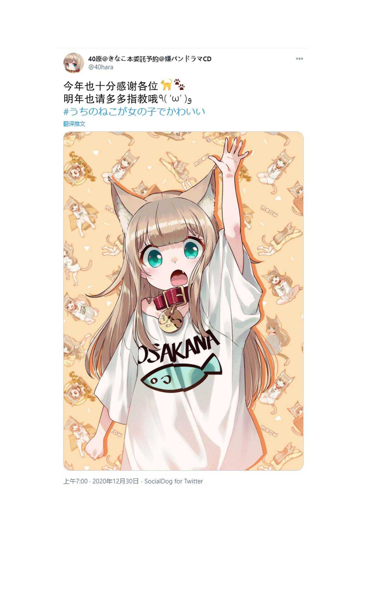 杂图7-我家的猫猫是可爱的女孩子！-40原（第5张）