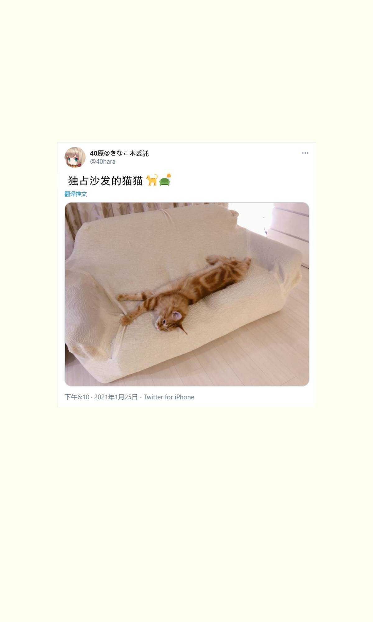 杂图9-我家的猫猫是可爱的女孩子！-40原（第5张）