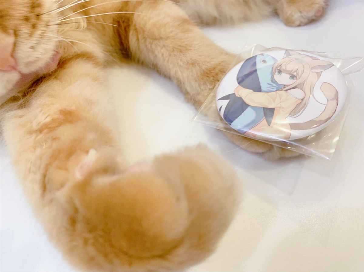 杂图12-我家的猫猫是可爱的女孩子！-40原（第3张）