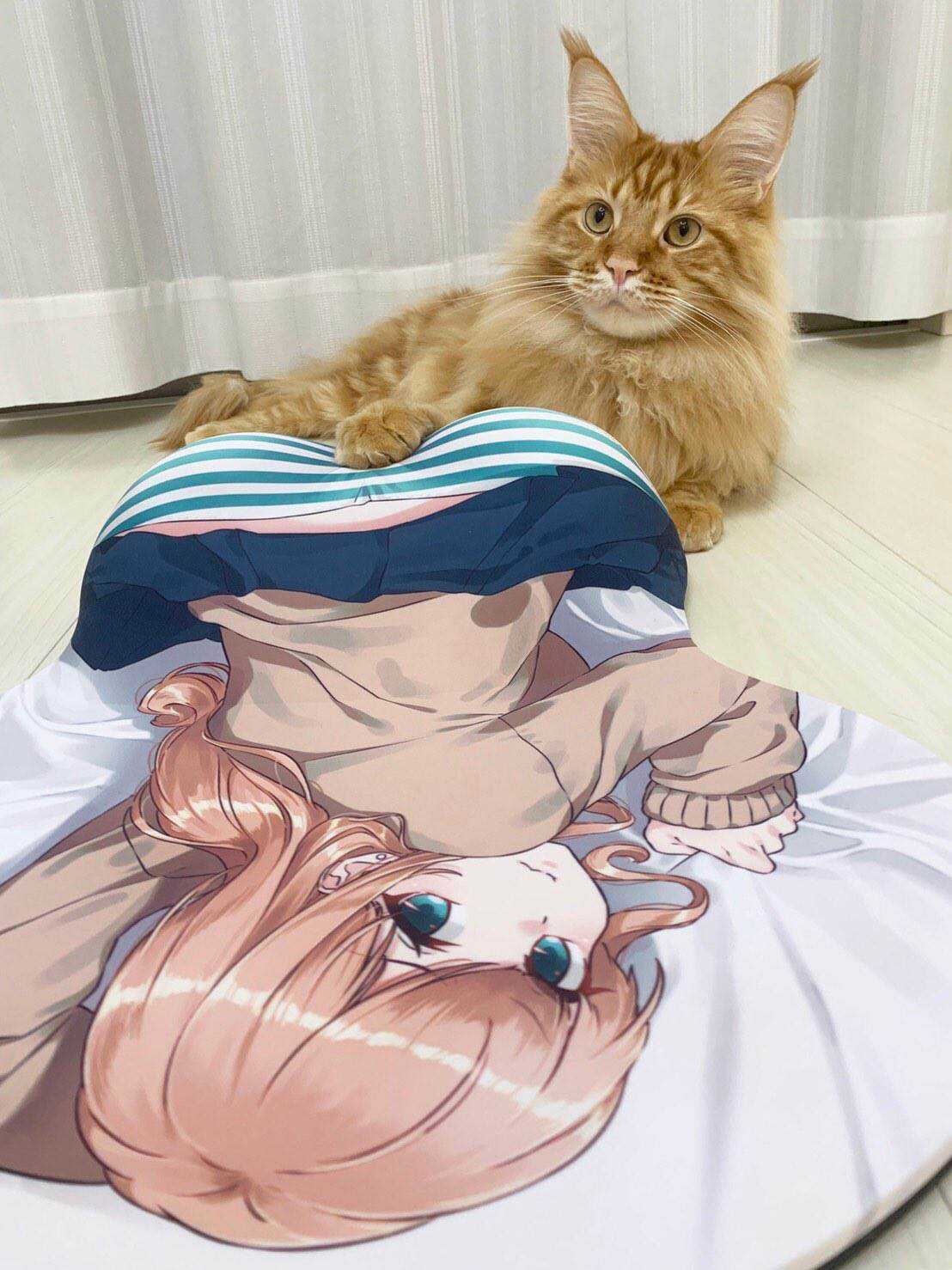 杂图11-我家的猫猫是可爱的女孩子！-40原（第5张）