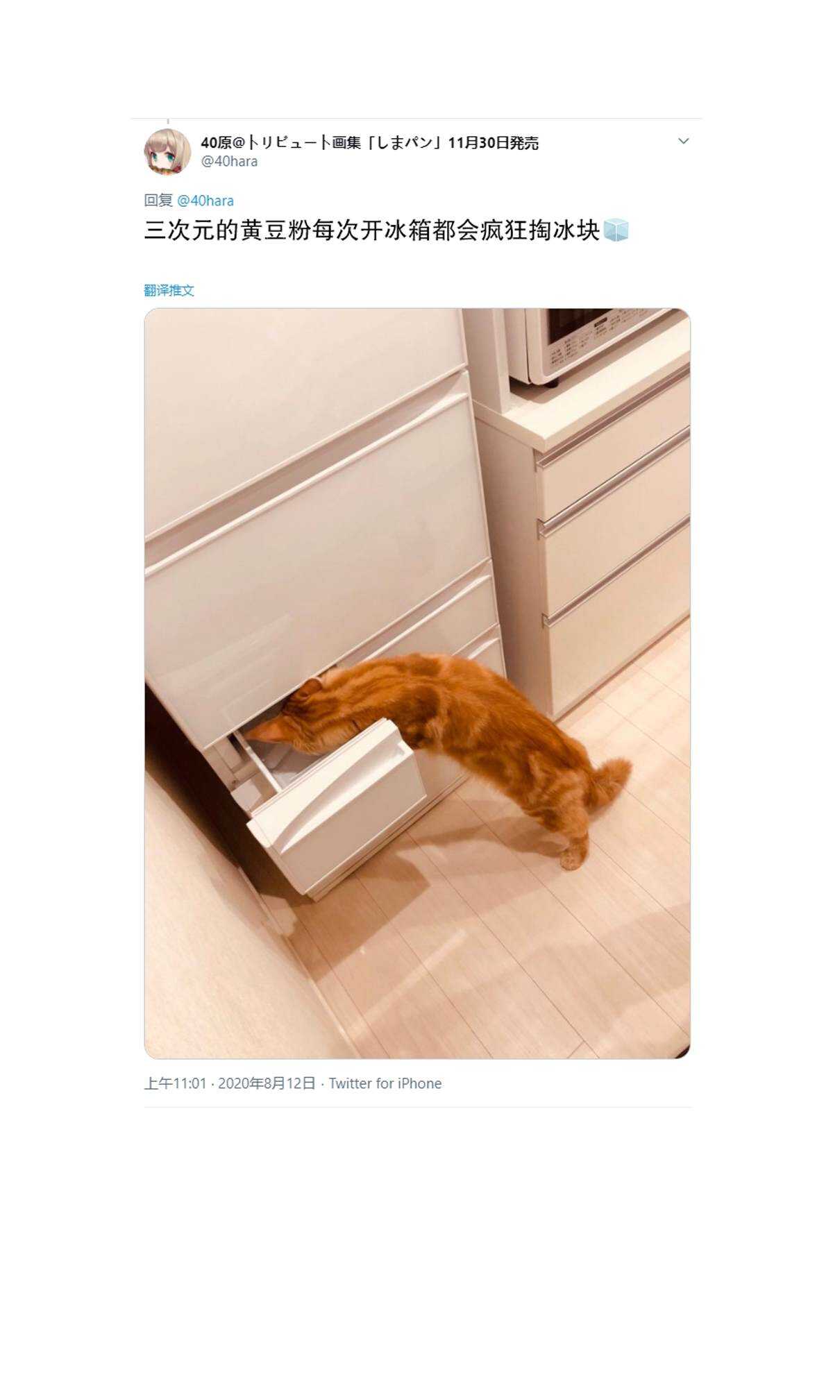 杂图6-我家的猫猫是可爱的女孩子！-40原（第6张）
