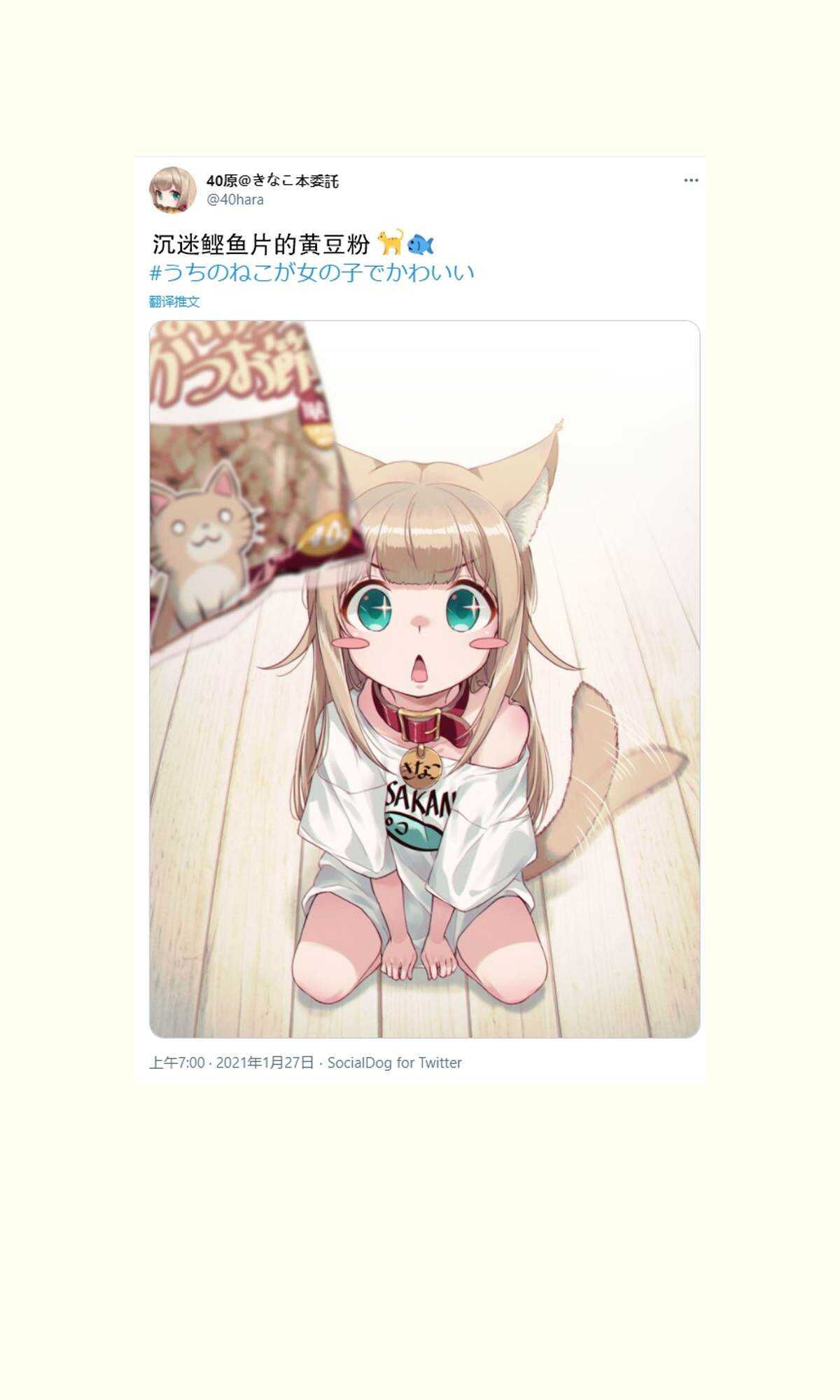 杂图9-我家的猫猫是可爱的女孩子！-40原（第7张）