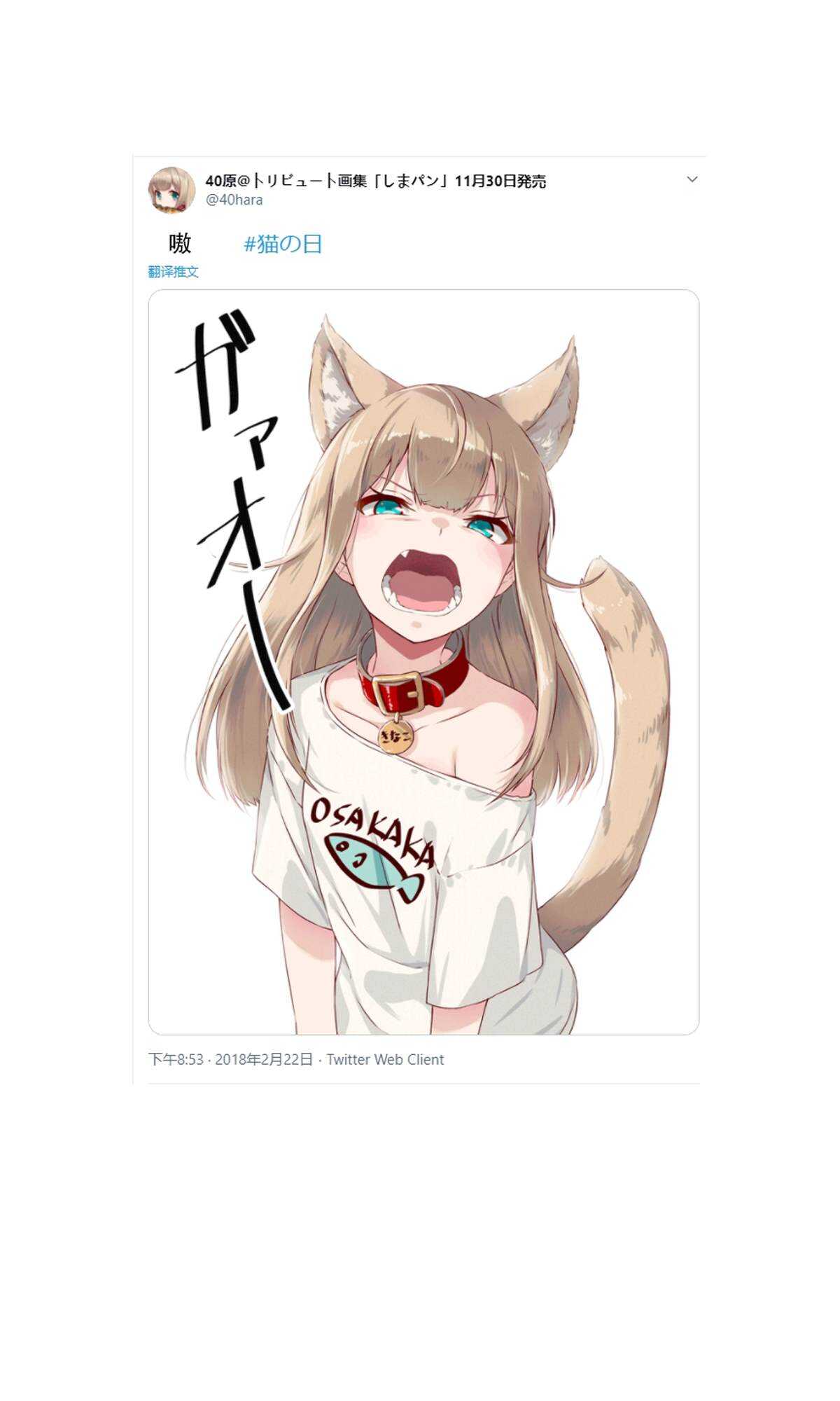 杂图1-我家的猫猫是可爱的女孩子！-40原（第3张）