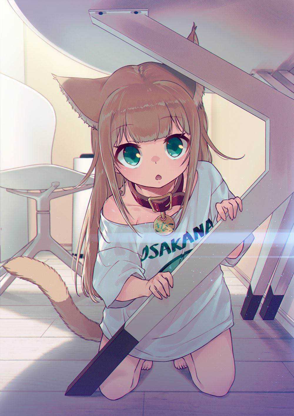 杂图5-我家的猫猫是可爱的女孩子！-40原（第14张）