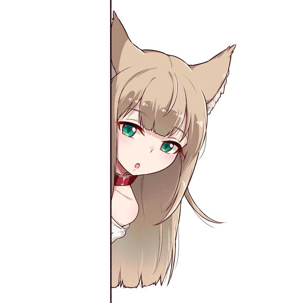 杂图1-我家的猫猫是可爱的女孩子！-40原（第6张）