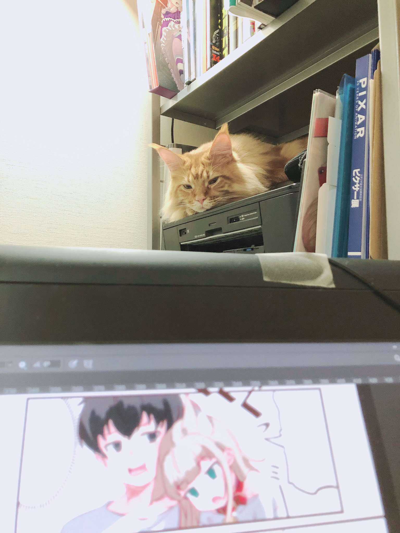第4话-我家的猫猫是可爱的女孩子！-40原（第9张）