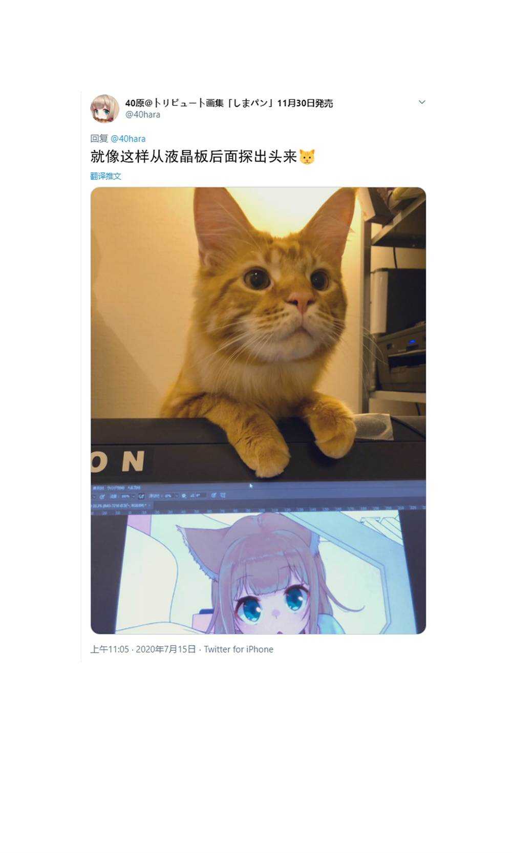 杂图5-我家的猫猫是可爱的女孩子！-40原（第23张）