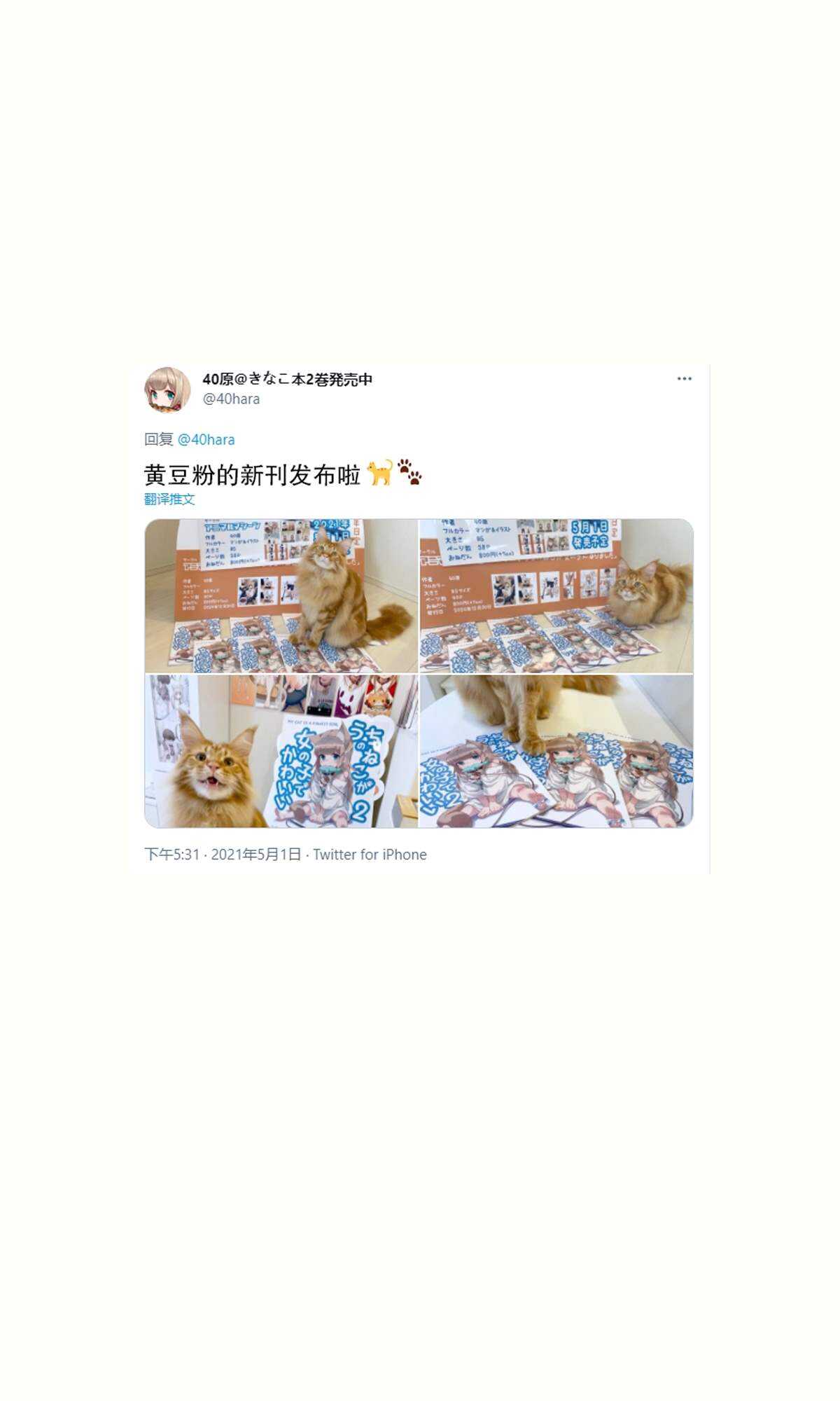 杂图13-我家的猫猫是可爱的女孩子！-40原（第8张）