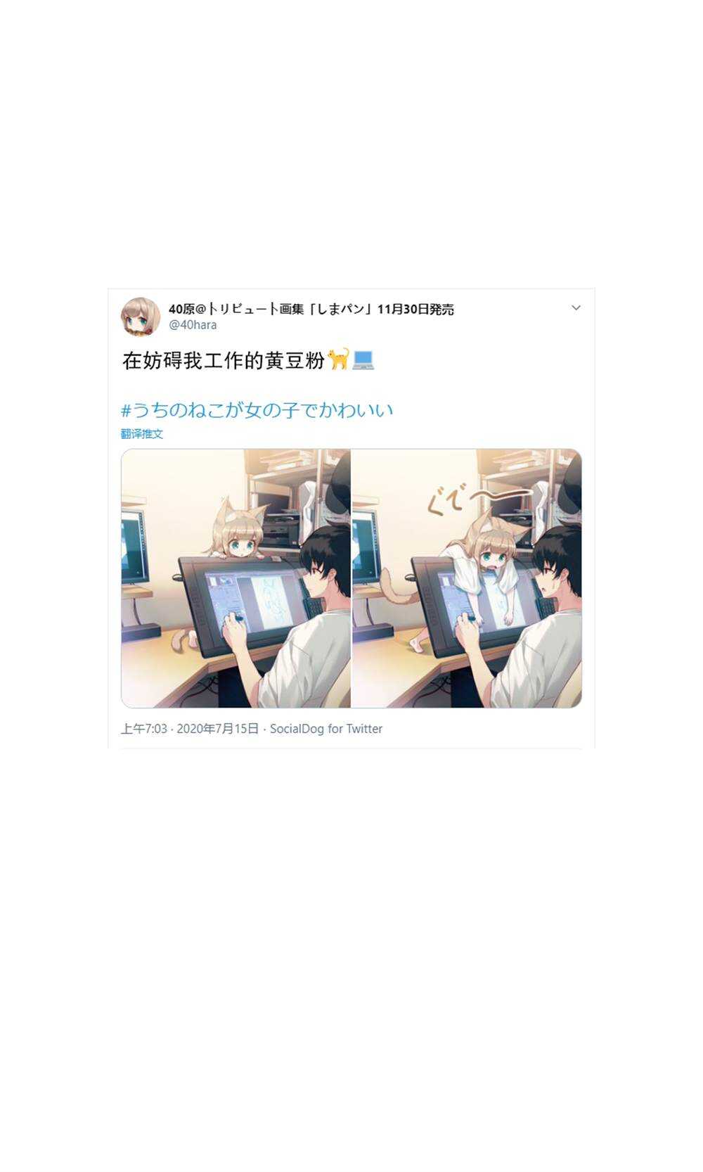 杂图5-我家的猫猫是可爱的女孩子！-40原（第20张）