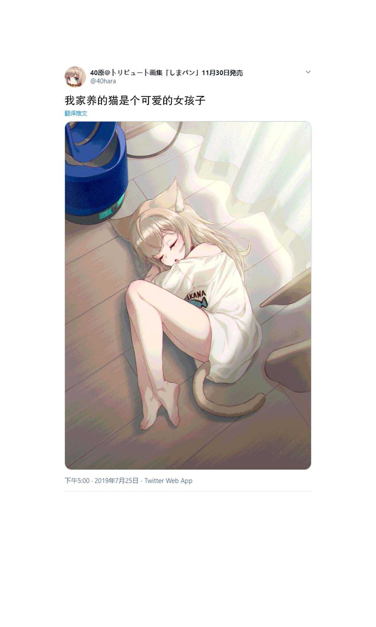 杂图2-我家的猫猫是可爱的女孩子！-40原（第3张）