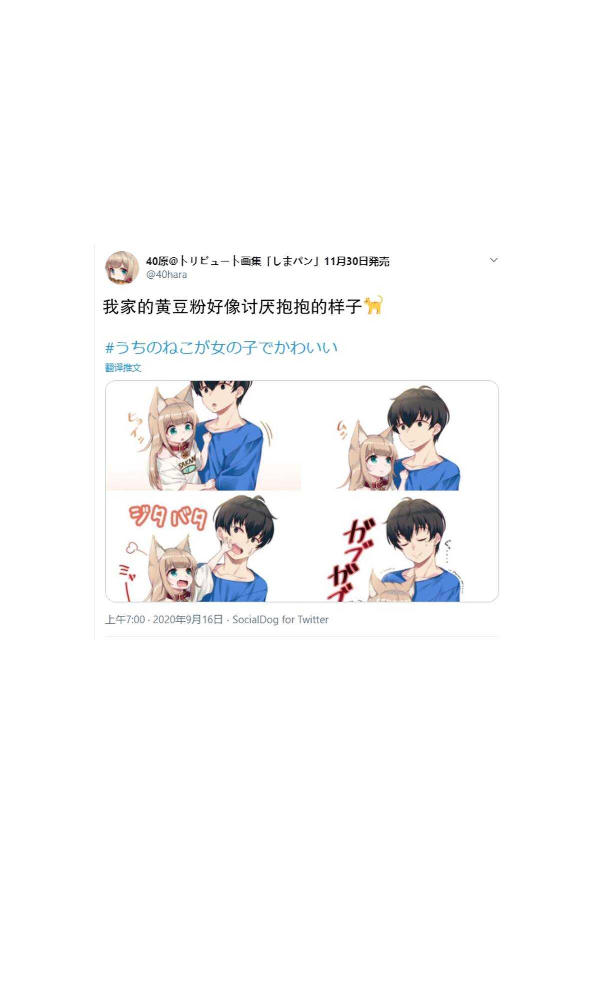 杂图6-我家的猫猫是可爱的女孩子！-40原（第12张）