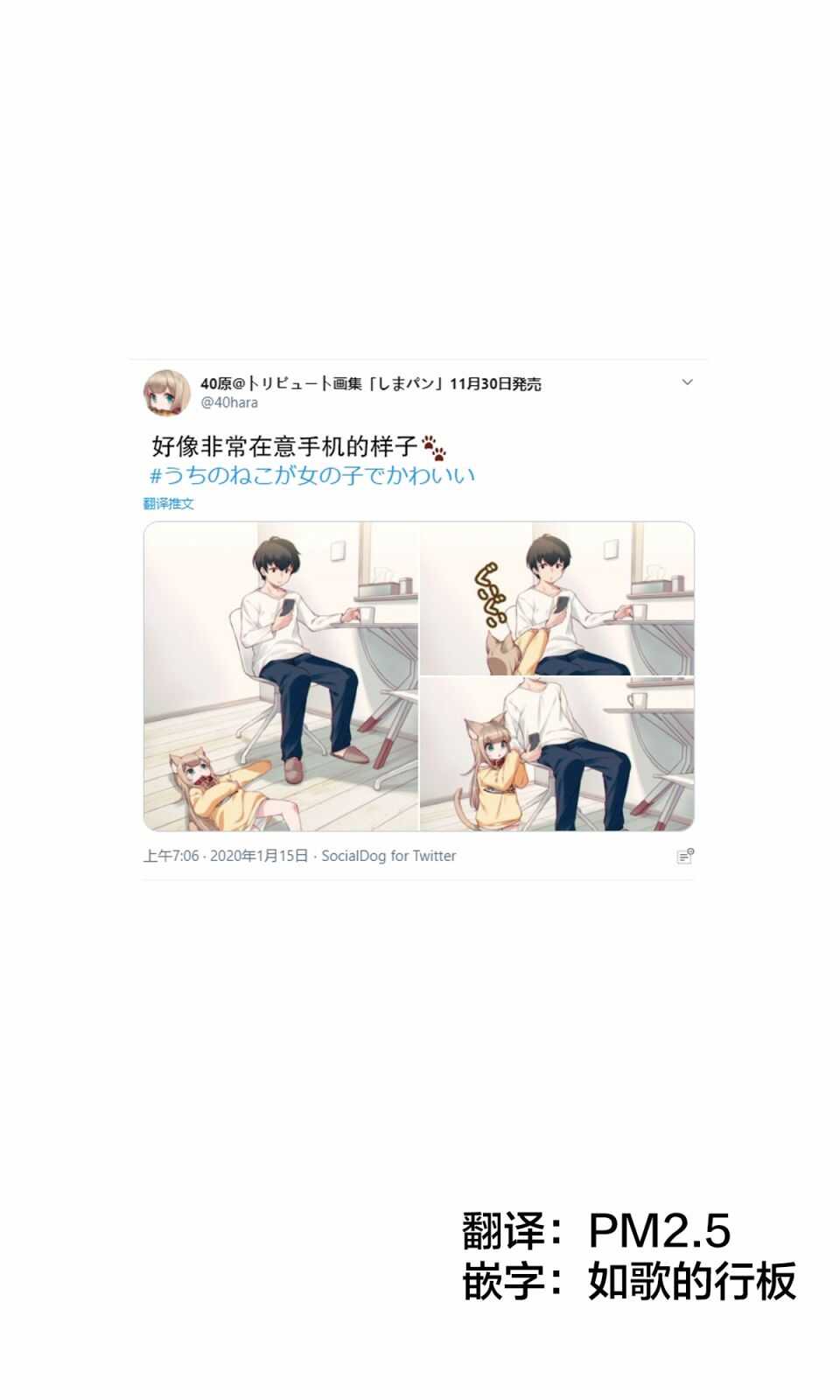 杂图4-我家的猫猫是可爱的女孩子！-40原（第1张）