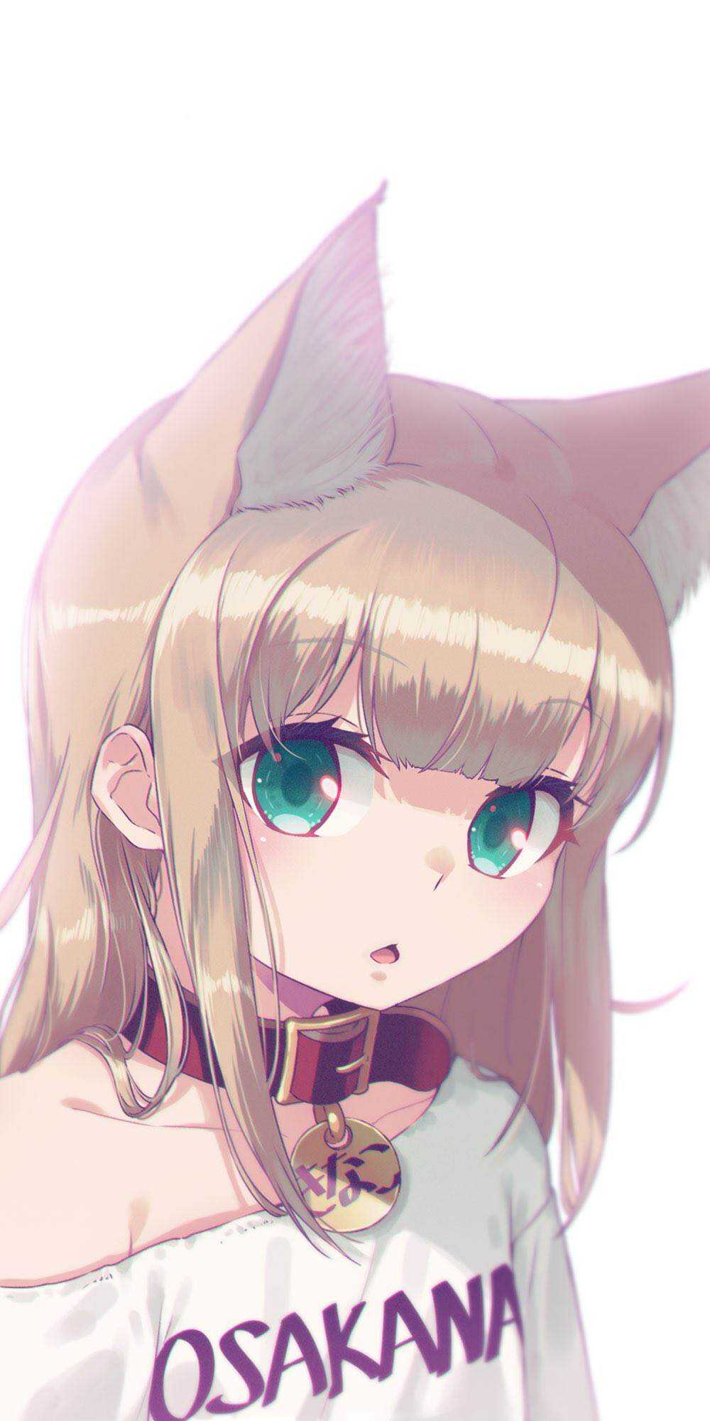 杂图5-我家的猫猫是可爱的女孩子！-40原（第12张）