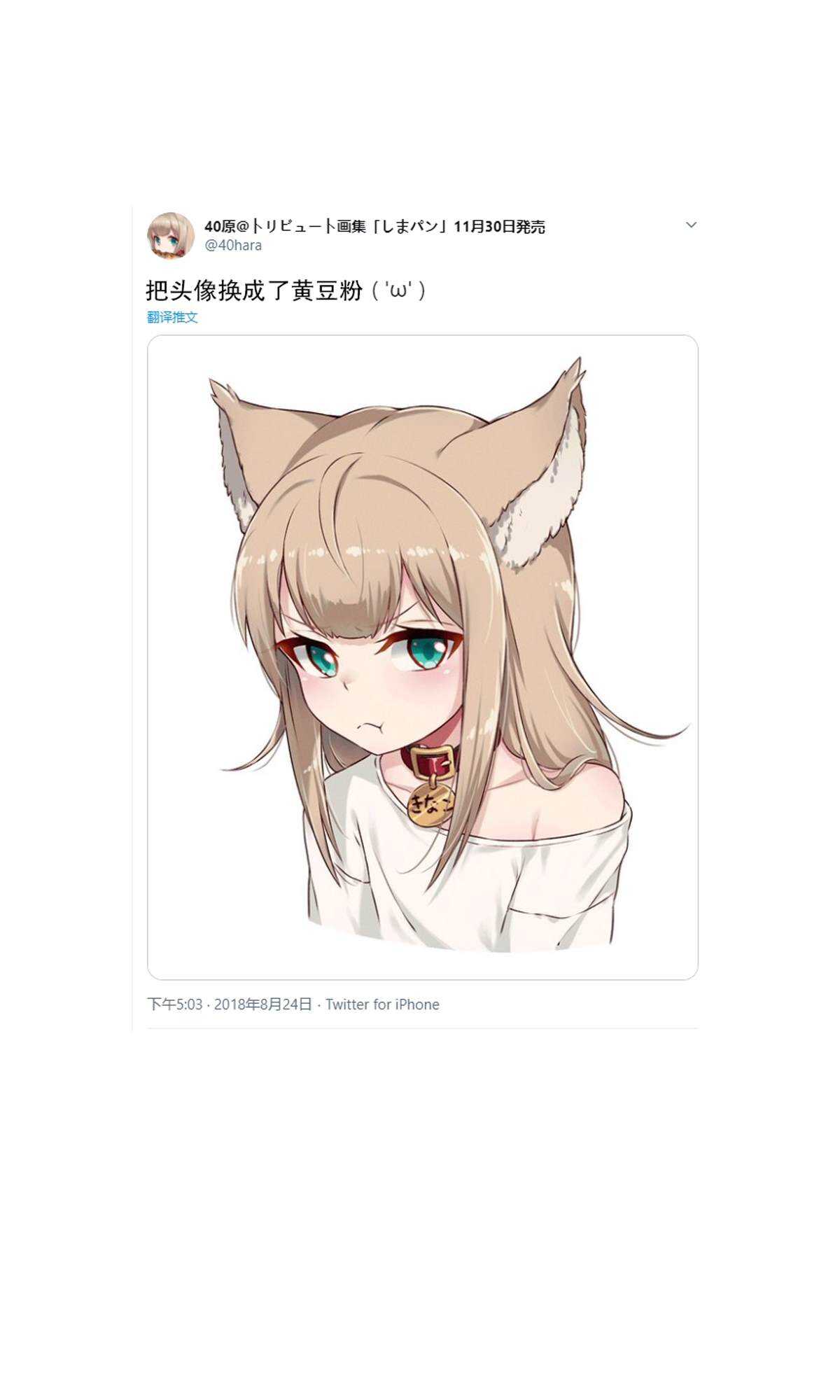杂图1-我家的猫猫是可爱的女孩子！-40原（第12张）