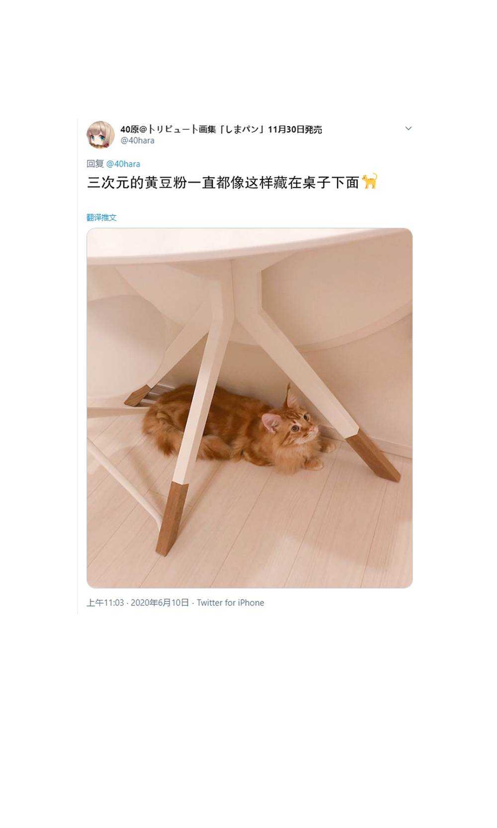 杂图5-我家的猫猫是可爱的女孩子！-40原（第15张）