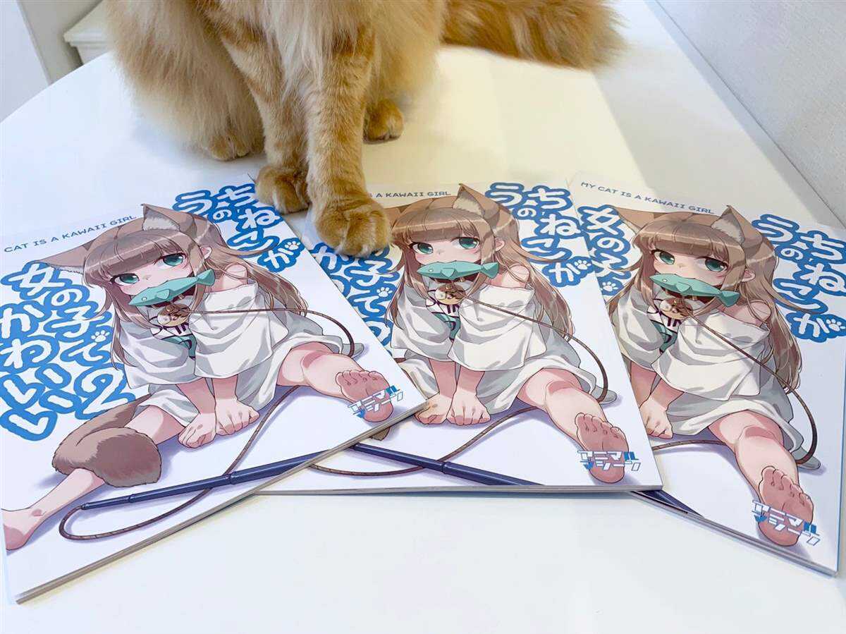 杂图13-我家的猫猫是可爱的女孩子！-40原（第12张）