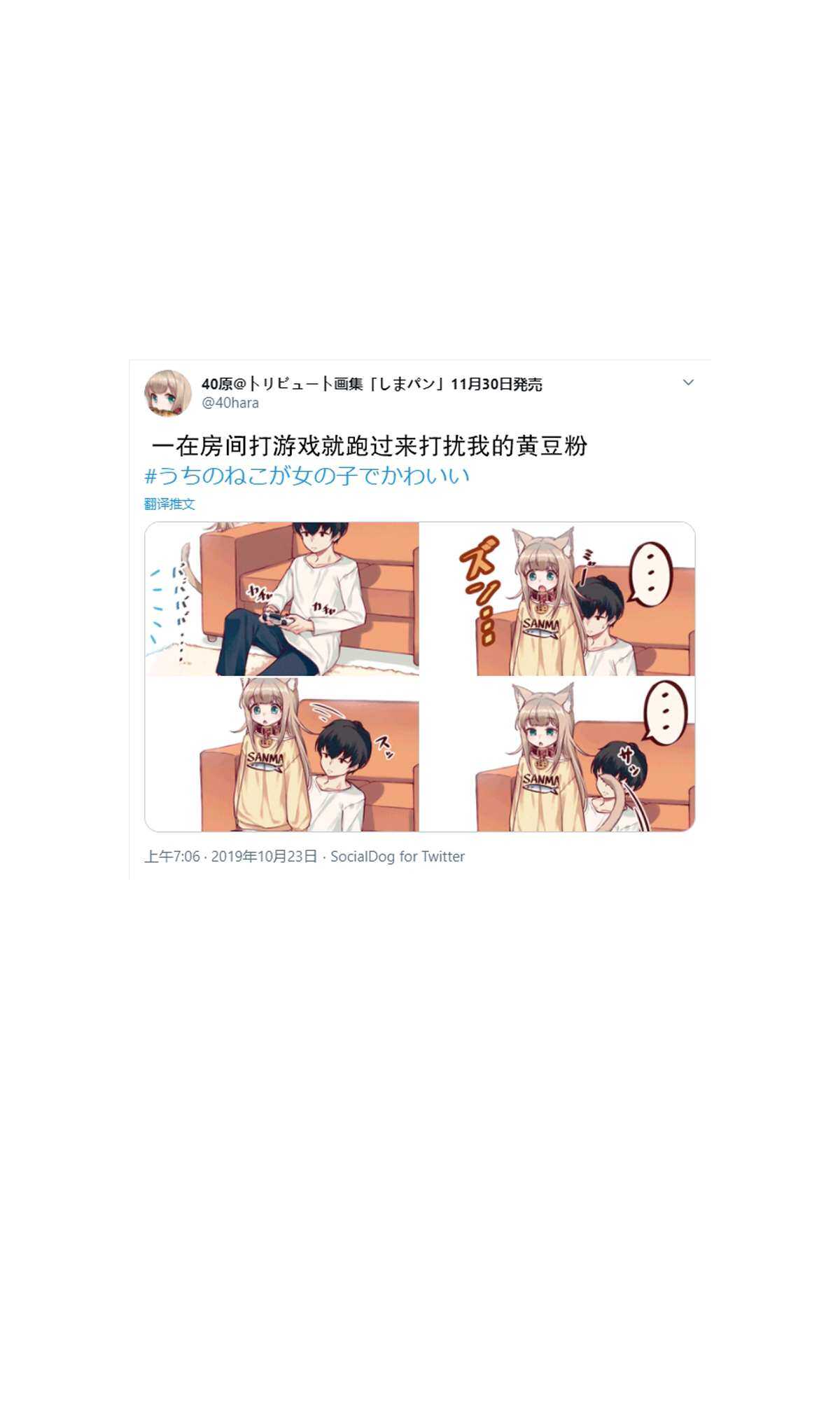 杂图3-我家的猫猫是可爱的女孩子！-40原（第6张）