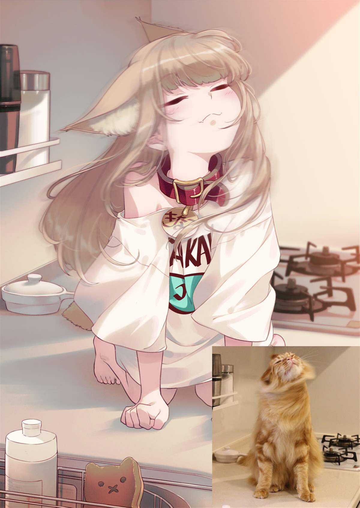 杂图13-我家的猫猫是可爱的女孩子！-40原（第6张）