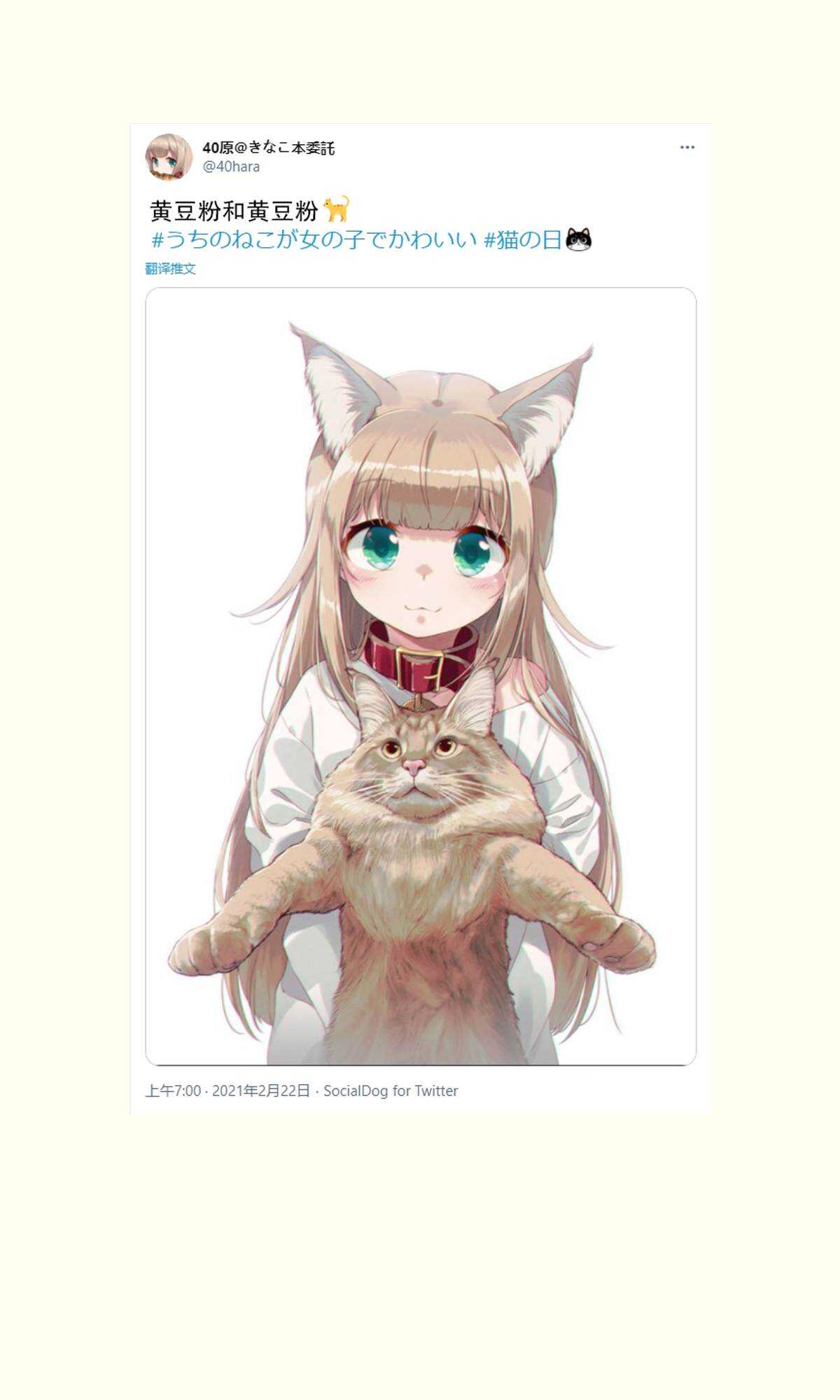 杂图10-我家的猫猫是可爱的女孩子！-40原（第6张）