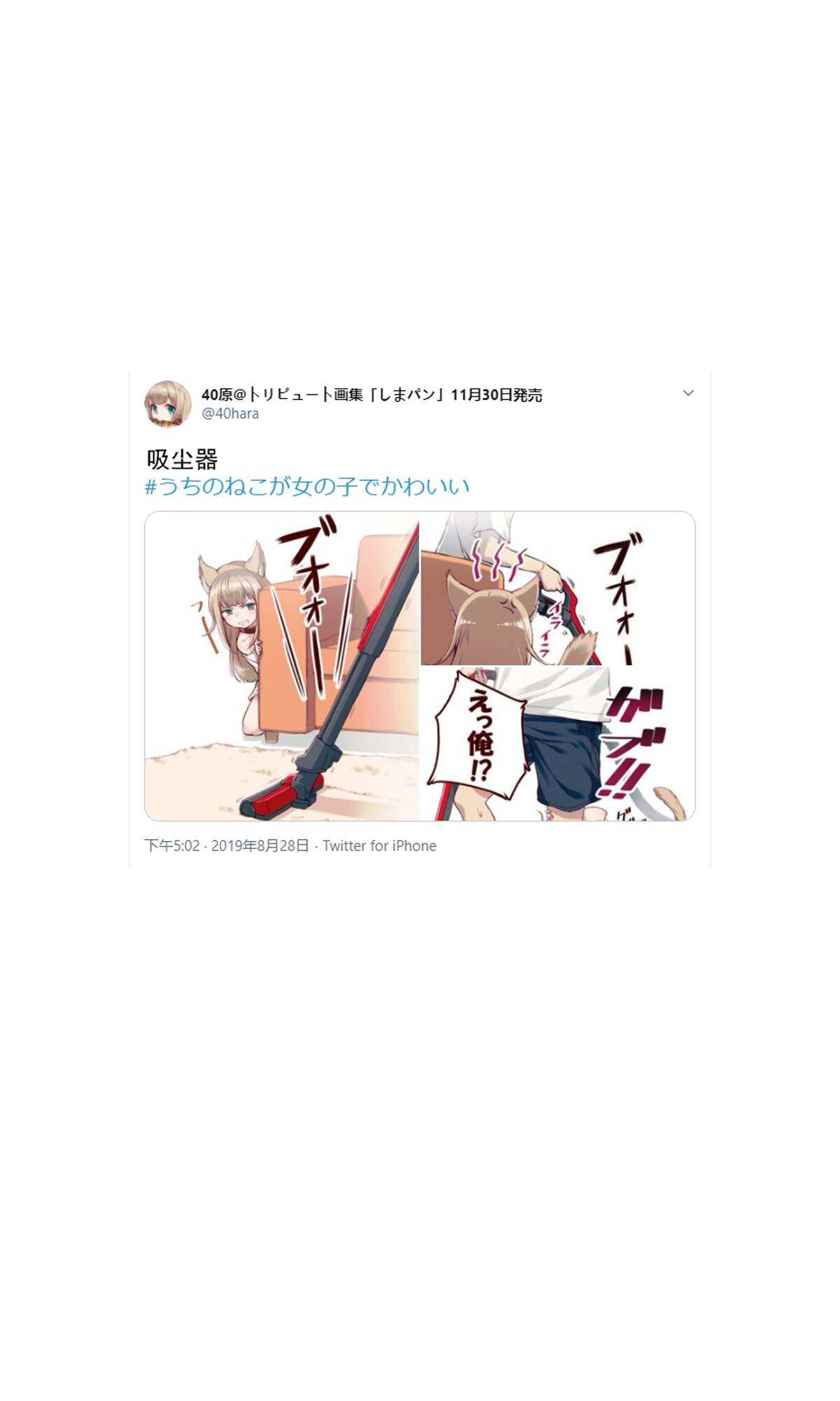 杂图2-我家的猫猫是可爱的女孩子！-40原（第9张）