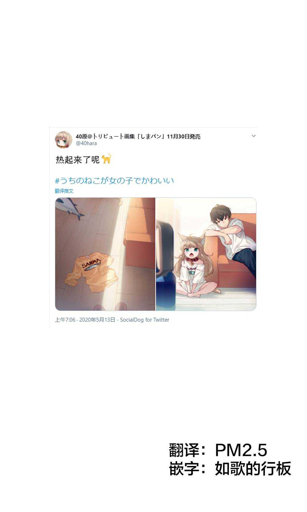 杂图5-我家的猫猫是可爱的女孩子！-40原（第1张）