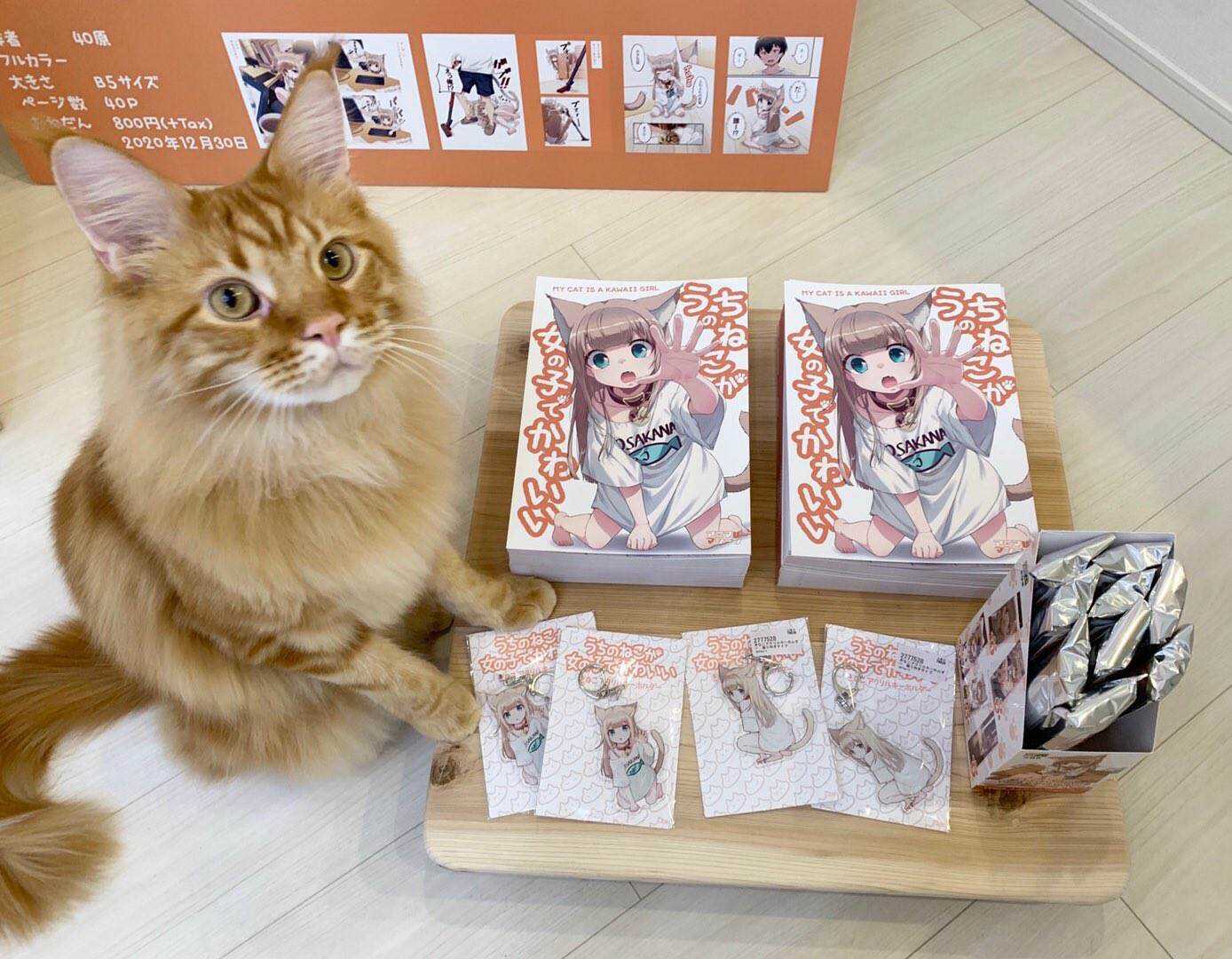 杂图7-我家的猫猫是可爱的女孩子！-40原（第8张）