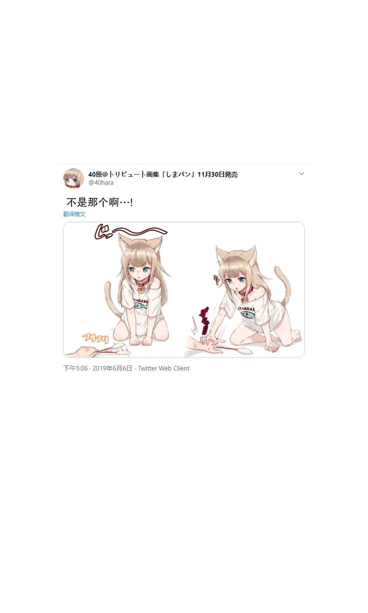 杂图1-我家的猫猫是可爱的女孩子！-40原（第25张）