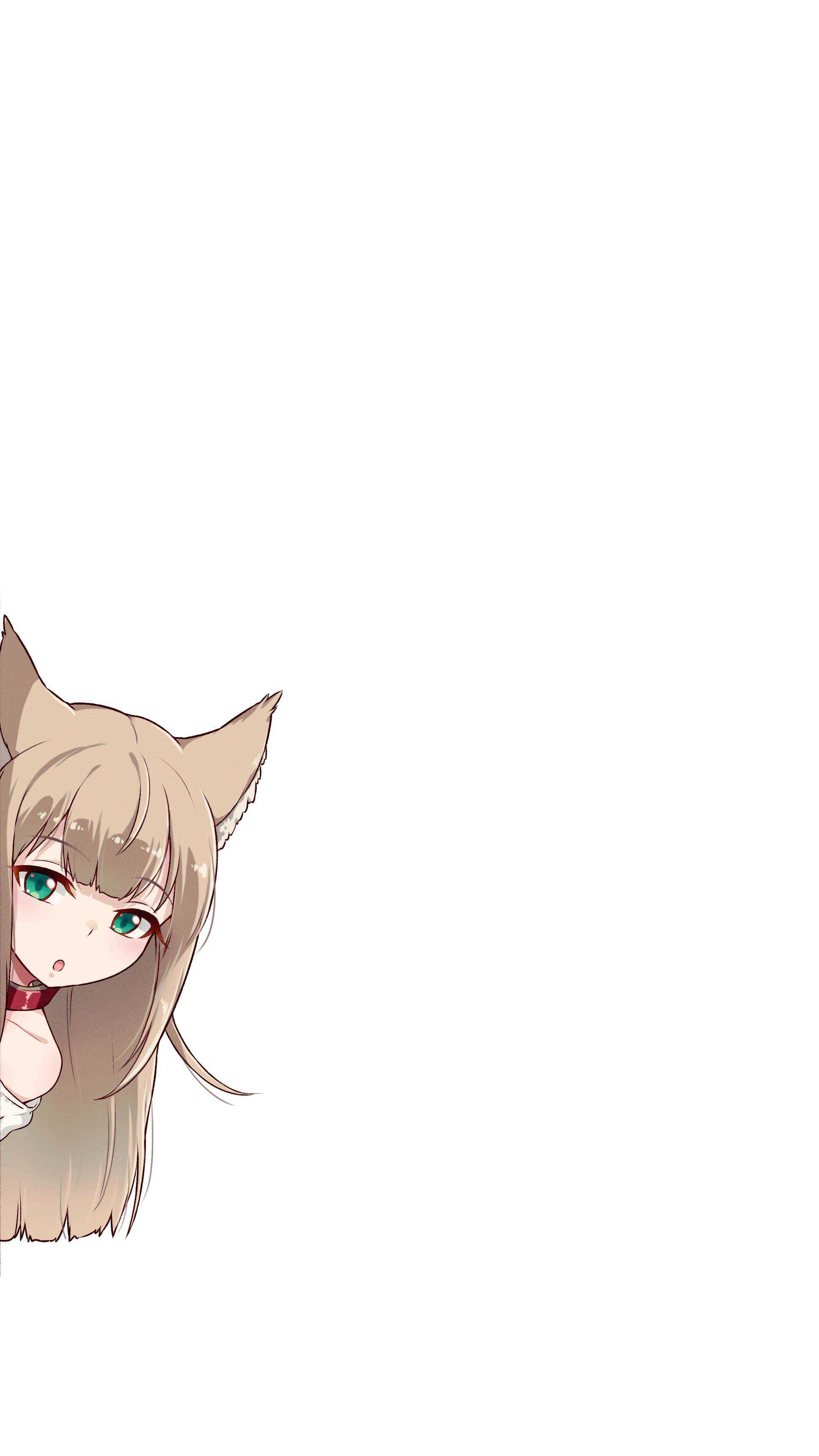 杂图1-我家的猫猫是可爱的女孩子！-40原（第7张）