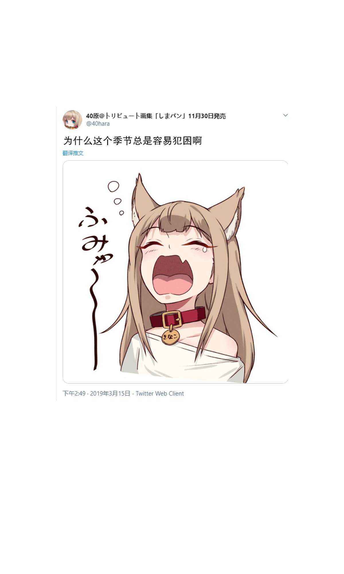 杂图1-我家的猫猫是可爱的女孩子！-40原（第21张）