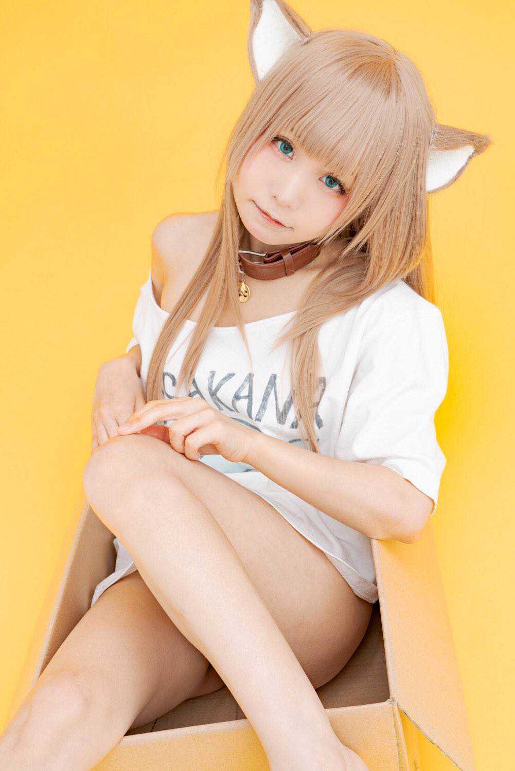 杂图11-我家的猫猫是可爱的女孩子！-40原（第12张）