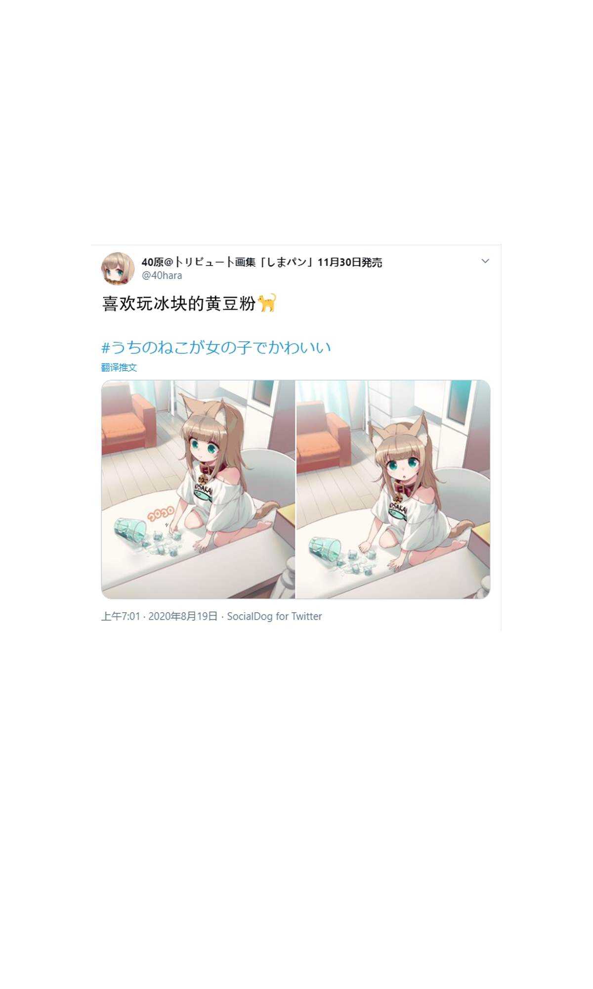 杂图6-我家的猫猫是可爱的女孩子！-40原（第8张）