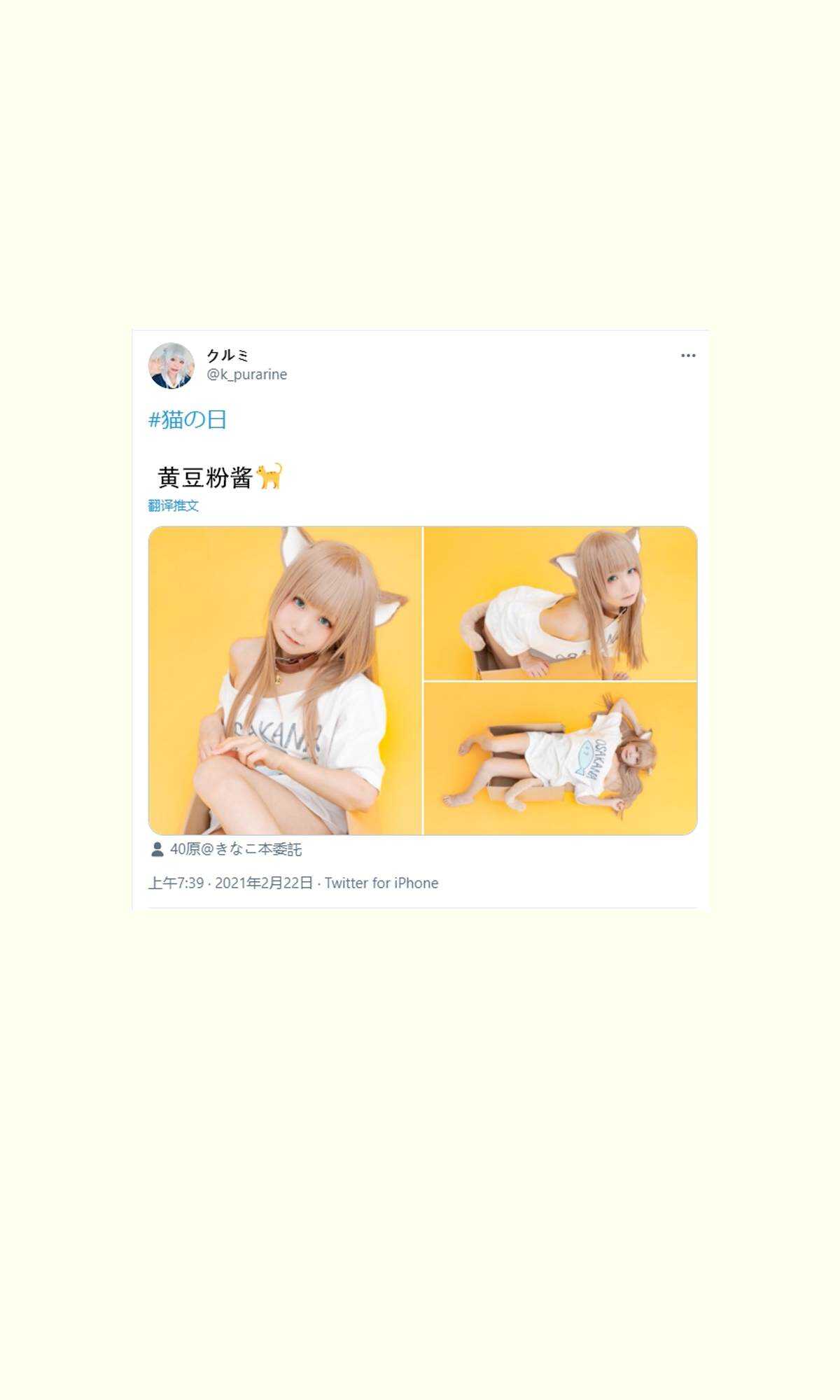 杂图11-我家的猫猫是可爱的女孩子！-40原（第11张）