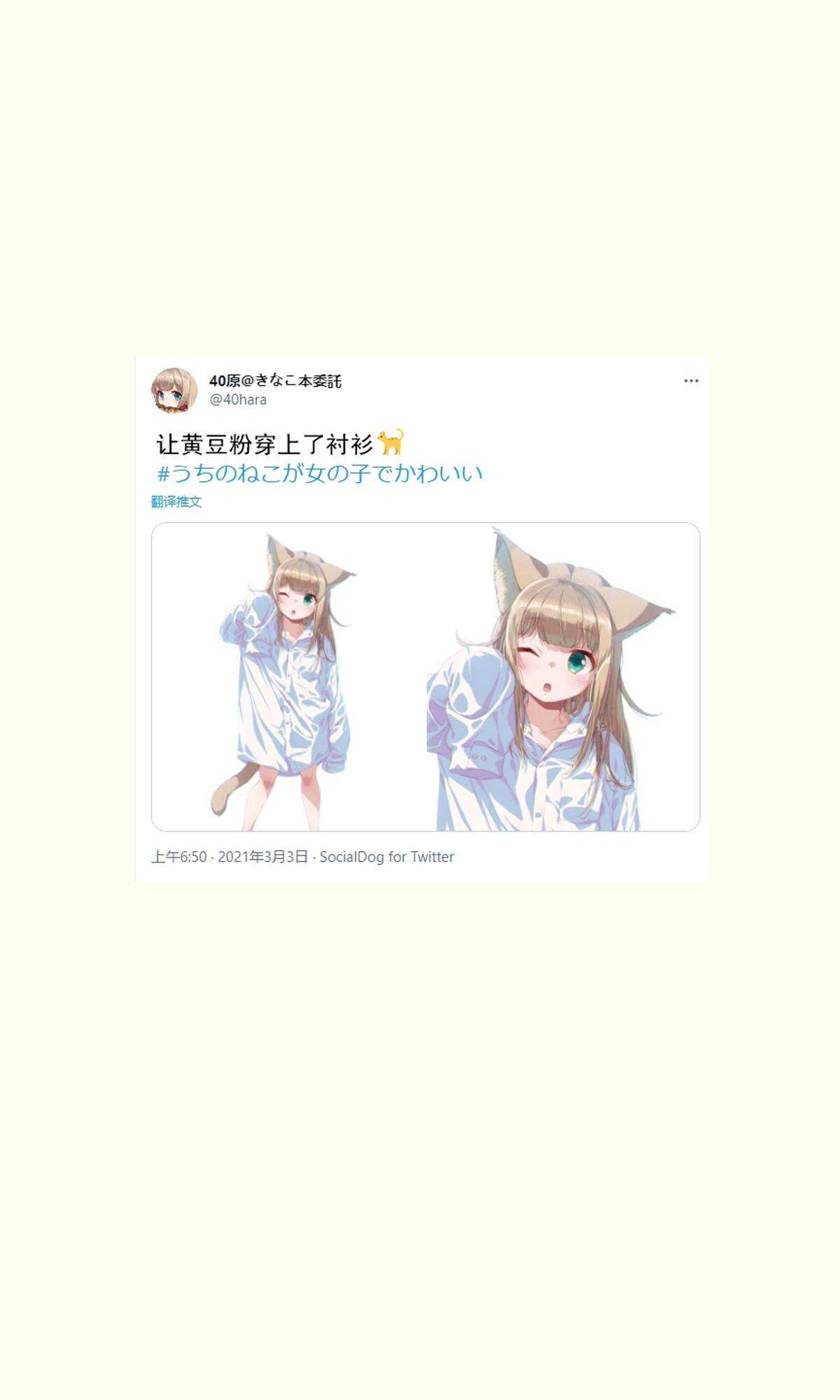 杂图11-我家的猫猫是可爱的女孩子！-40原（第15张）