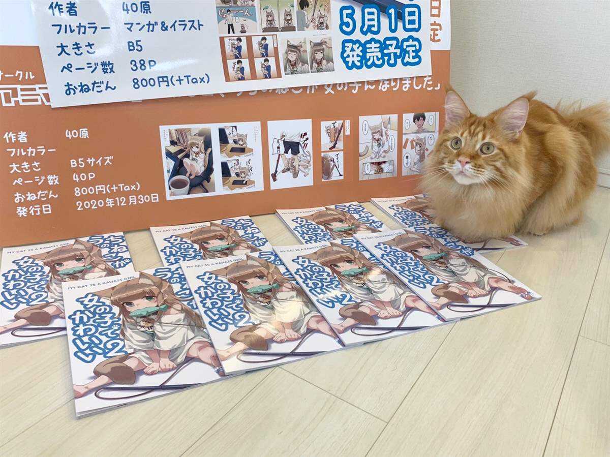 杂图13-我家的猫猫是可爱的女孩子！-40原（第10张）