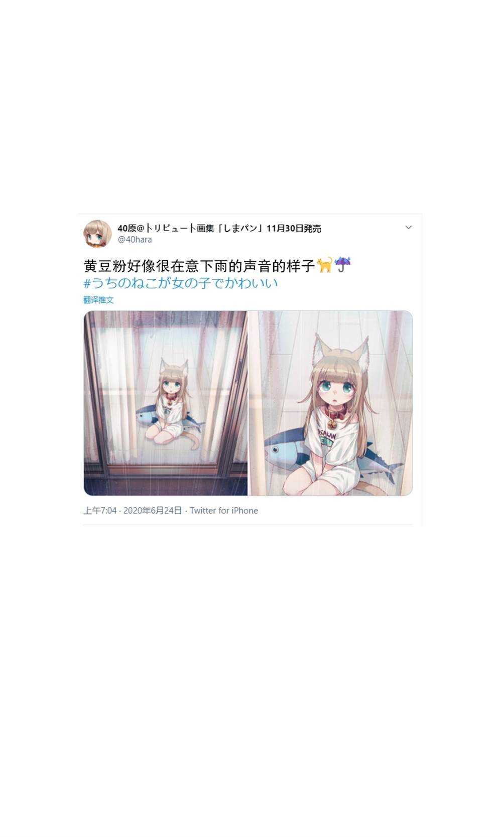 杂图5-我家的猫猫是可爱的女孩子！-40原（第17张）