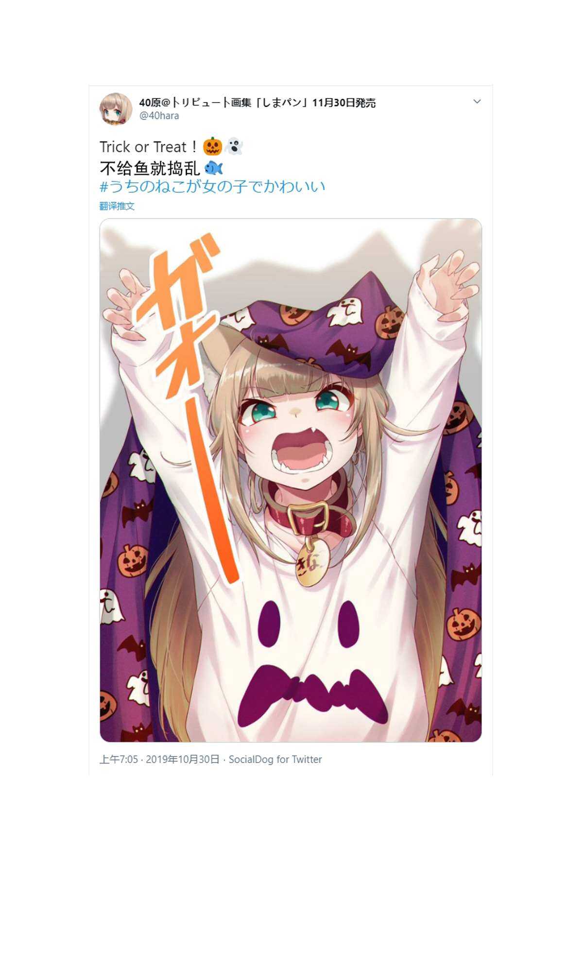 杂图3-我家的猫猫是可爱的女孩子！-40原（第11张）