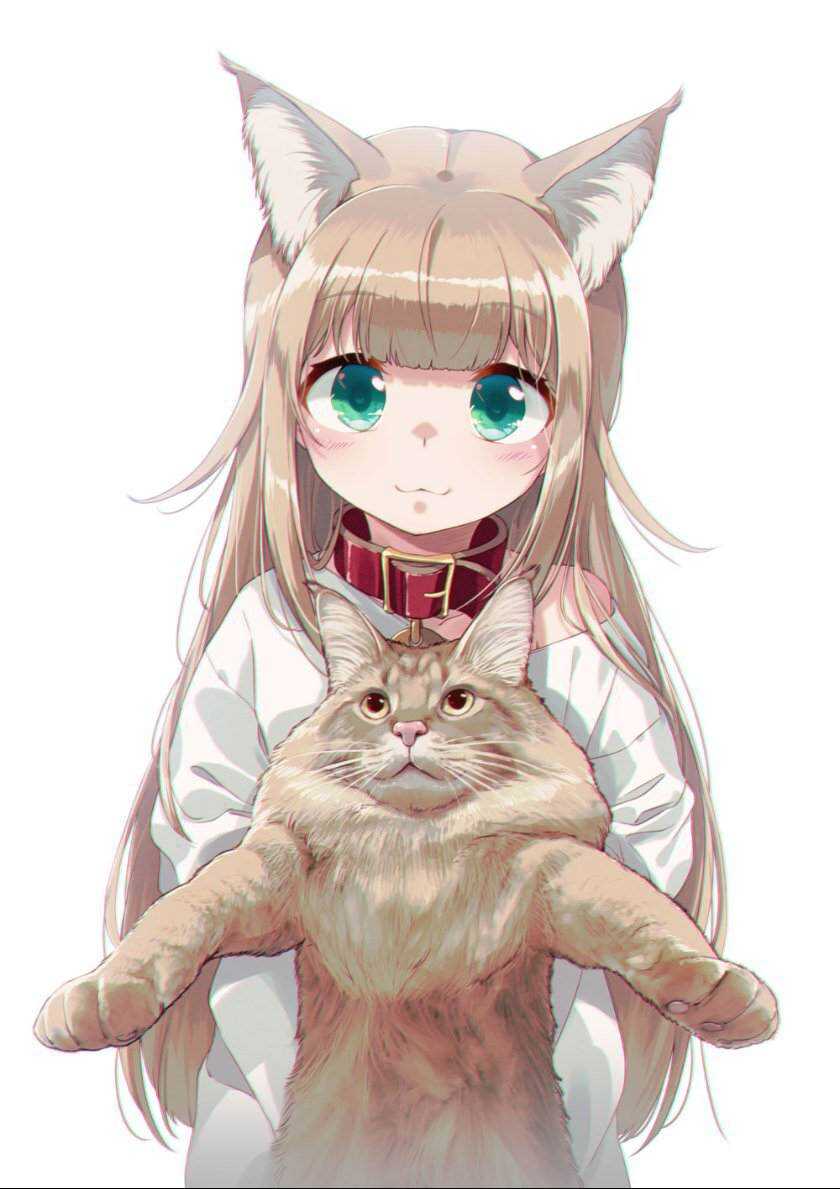 杂图10-我家的猫猫是可爱的女孩子！-40原（第7张）