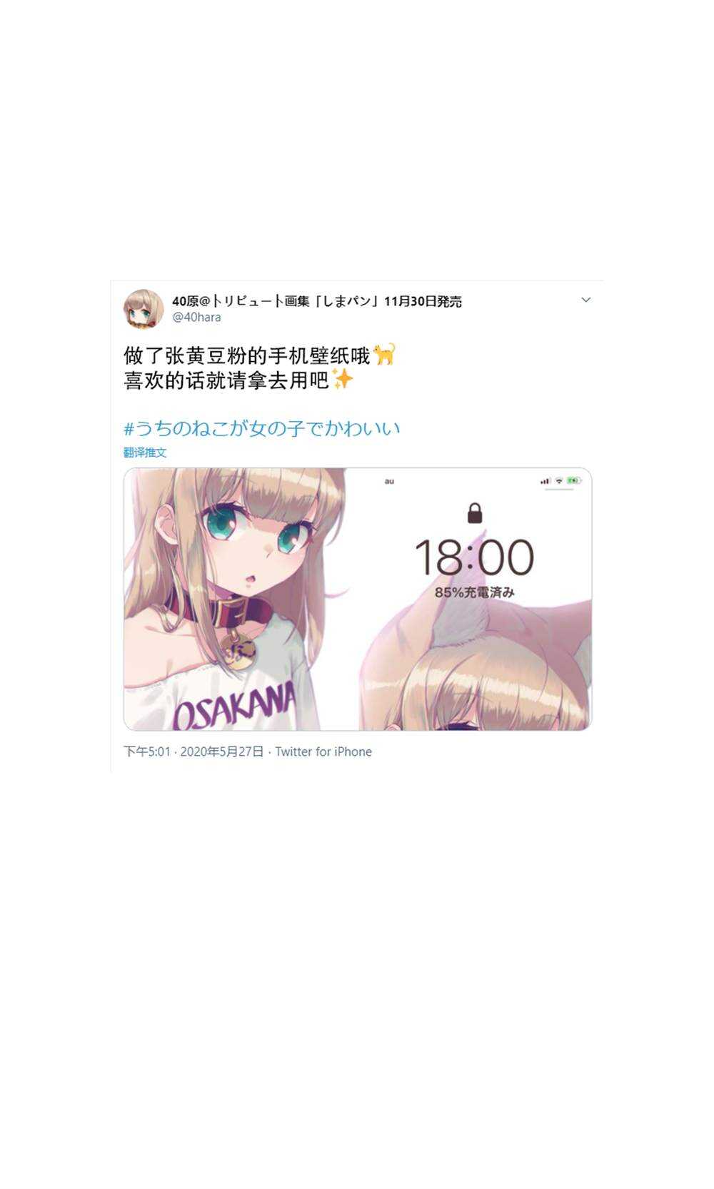 杂图5-我家的猫猫是可爱的女孩子！-40原（第11张）