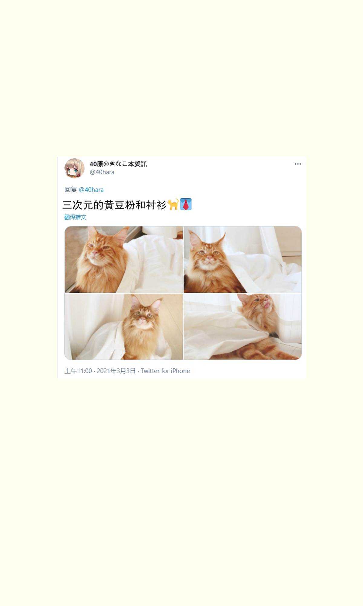 杂图11-我家的猫猫是可爱的女孩子！-40原（第17张）
