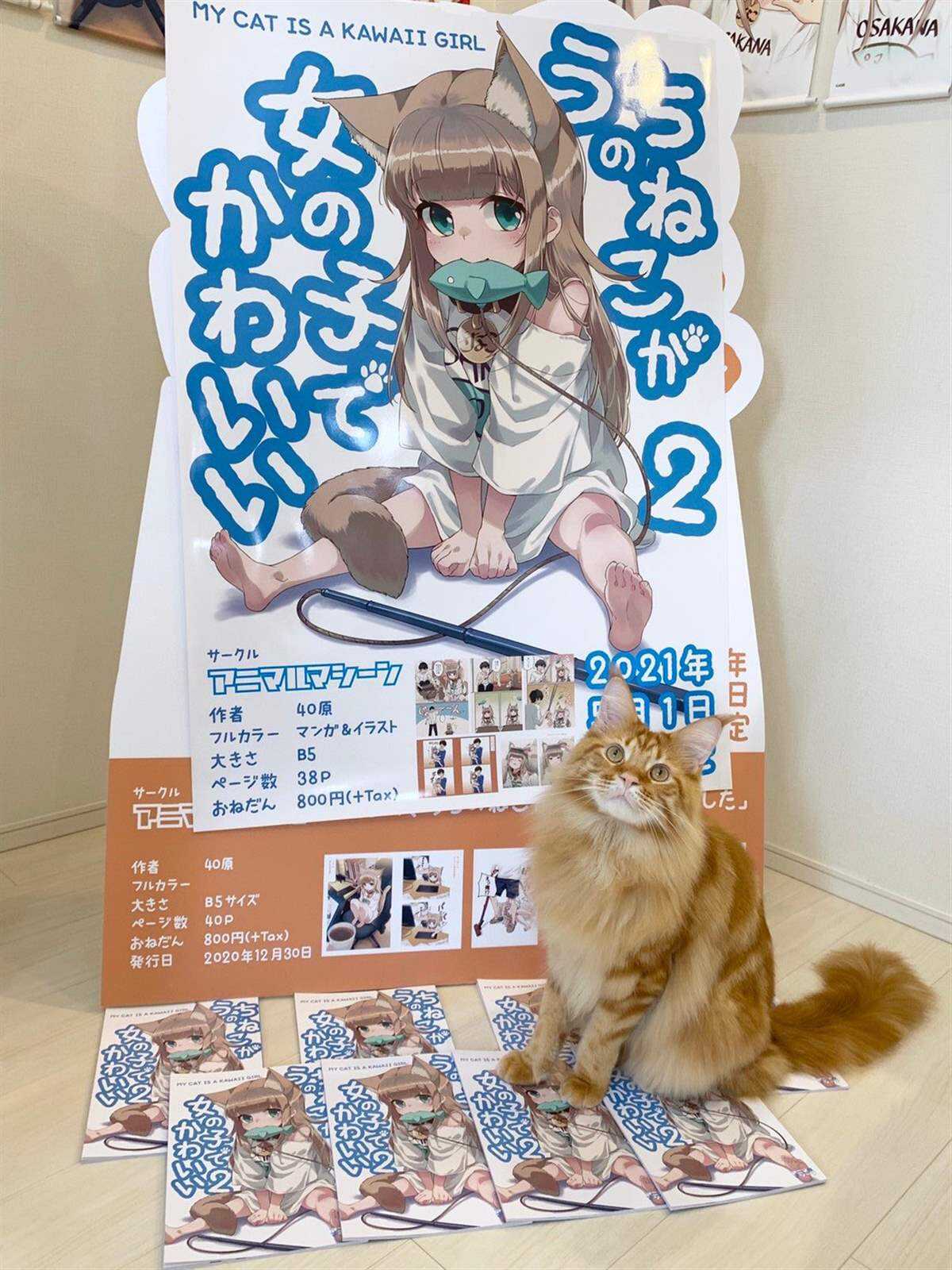 杂图13-我家的猫猫是可爱的女孩子！-40原（第9张）