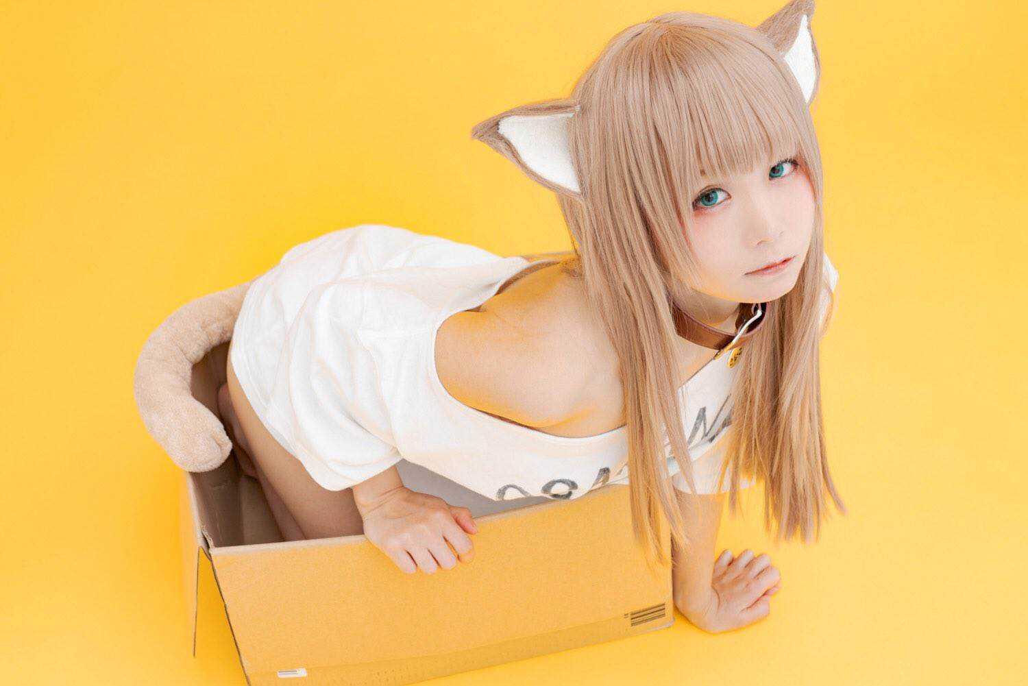 杂图11-我家的猫猫是可爱的女孩子！-40原（第13张）