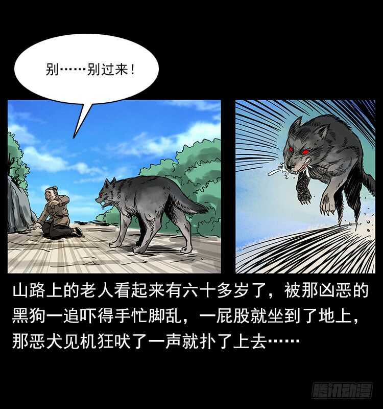 疯狗病-仙山传奇-转轮手枪（第9张）