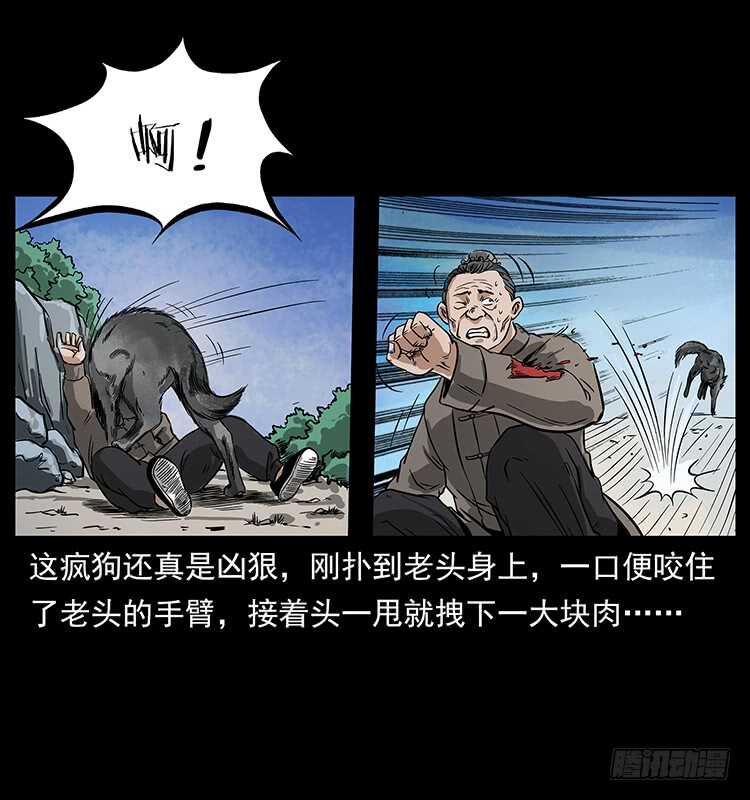 疯狗病-仙山传奇-转轮手枪（第10张）