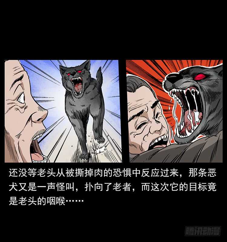 疯狗病-仙山传奇-转轮手枪（第12张）