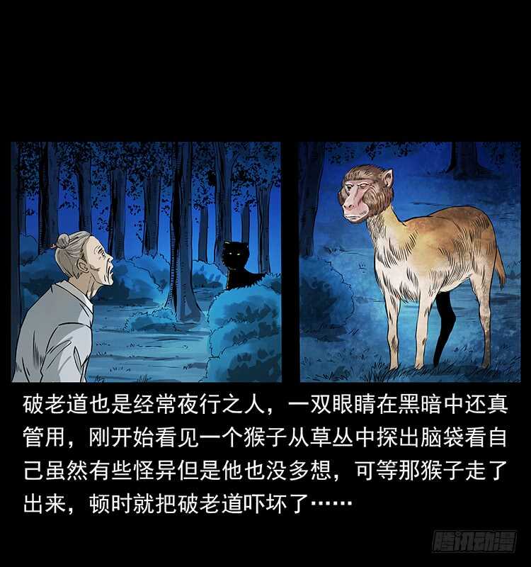 神医-仙山传奇-转轮手枪（第20张）