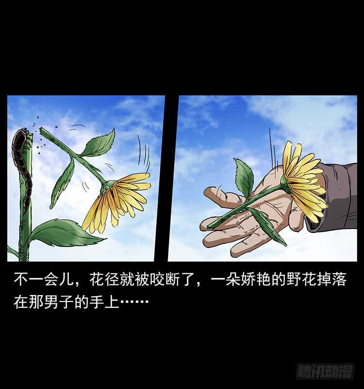 痋术-仙山传奇-转轮手枪（第21张）