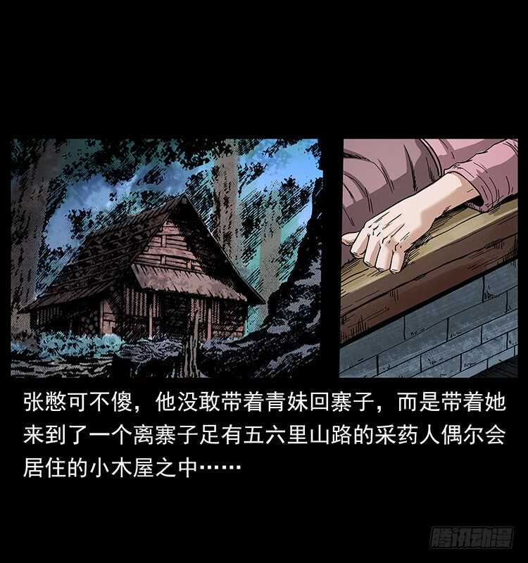 痋术-仙山传奇-转轮手枪（第33张）