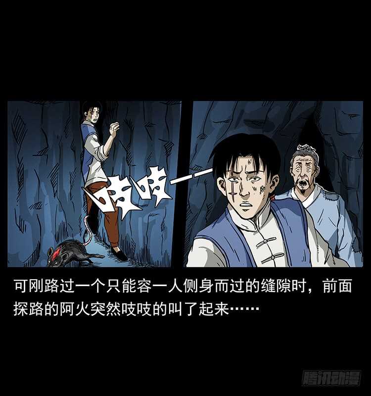 洞中老者-仙山传奇-转轮手枪（第21张）