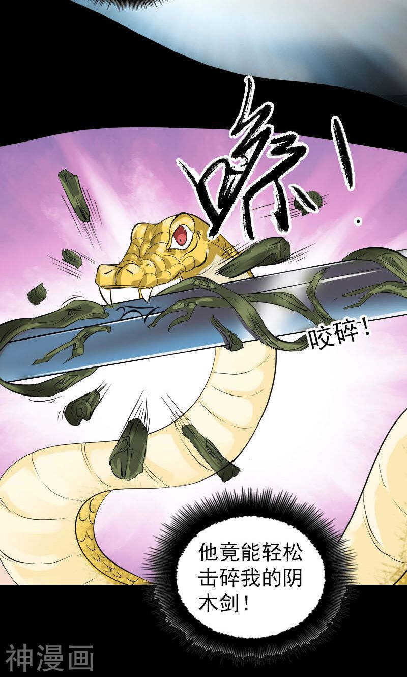 第181话(47P)-凶棺-万画筒漫画（第13张）