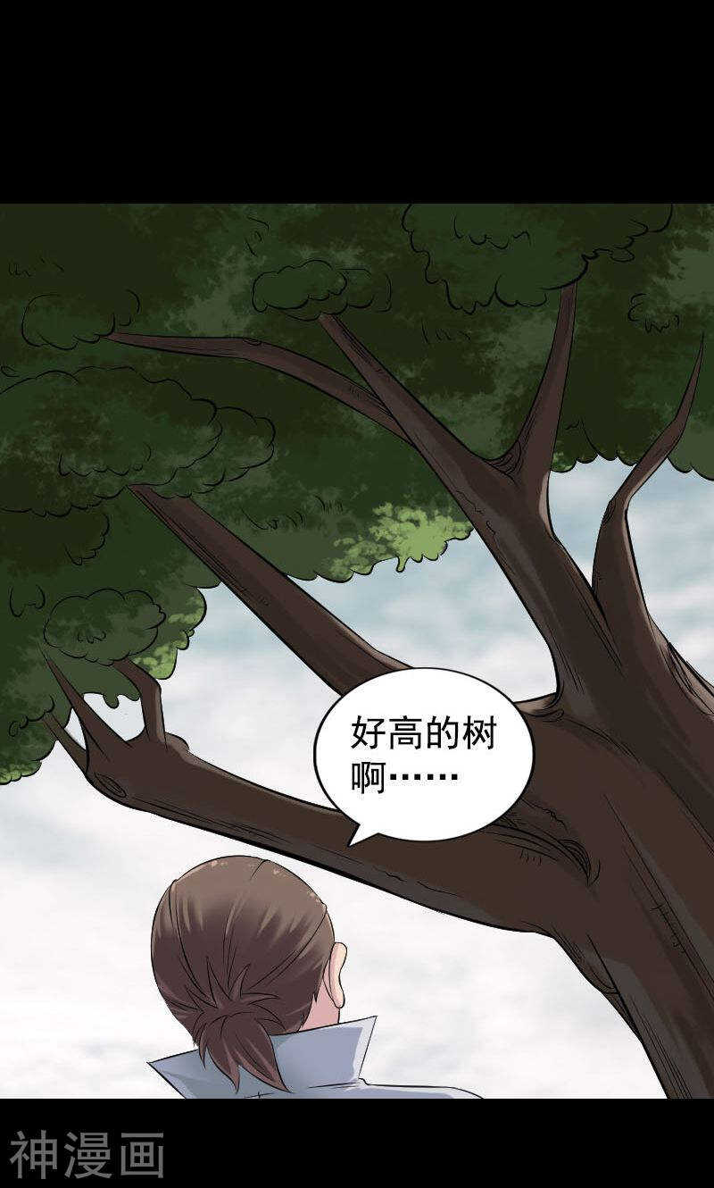第187话(44P)-凶棺-万画筒漫画（第14张）